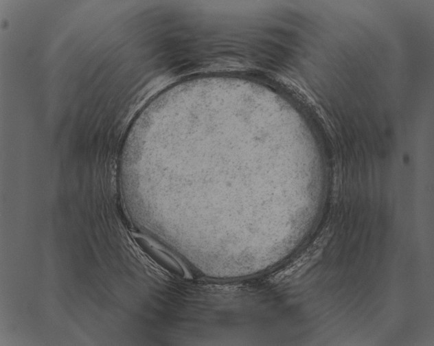 X0000087311409200705180934