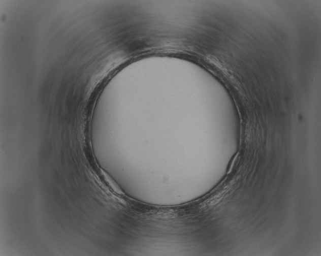 X0000087311410200705180934