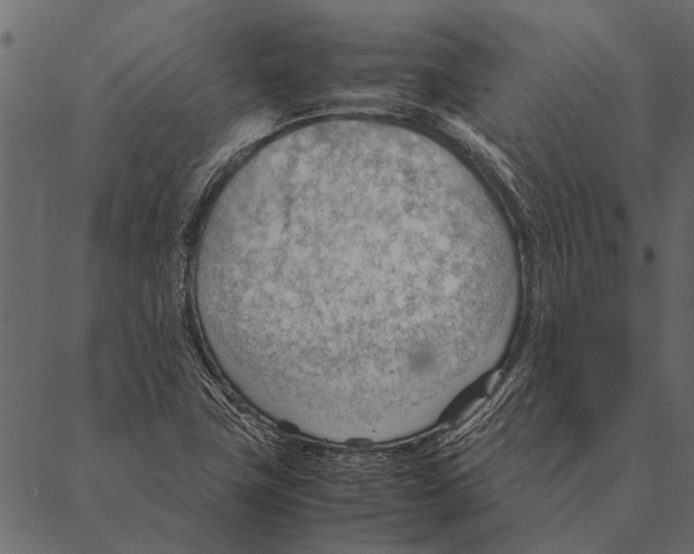 X0000087311411200705180934