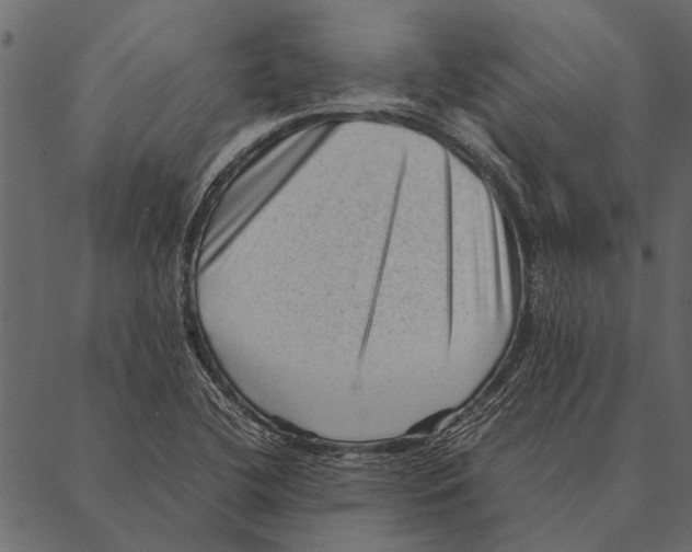 X0000087311412200705180934