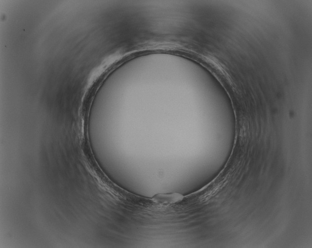 X0000087311414200705180934