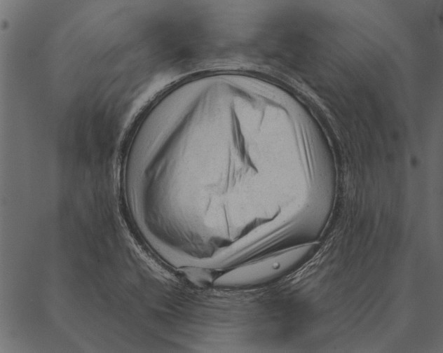 X0000087311416200705180934