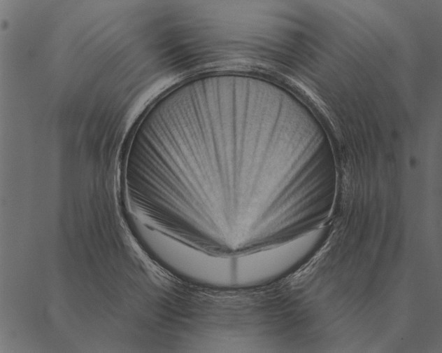 X0000087311418200705180934