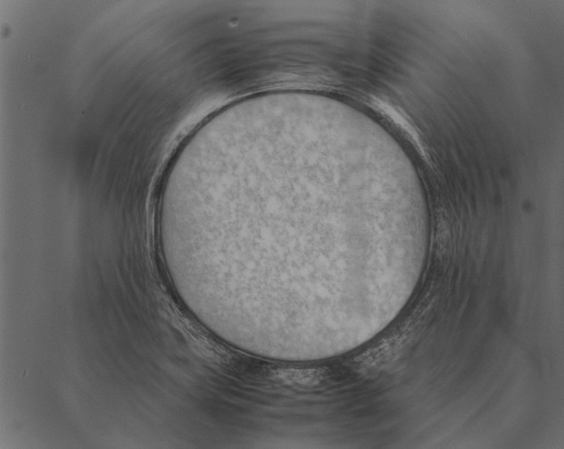 X0000087311419200705180934