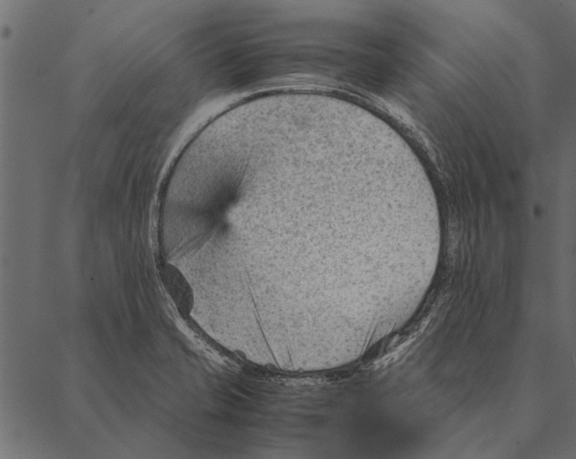 X0000087311421200705180934