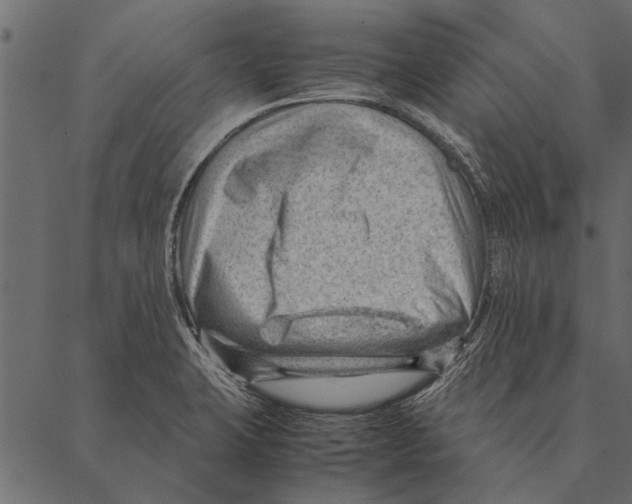 X0000087311423200705180934