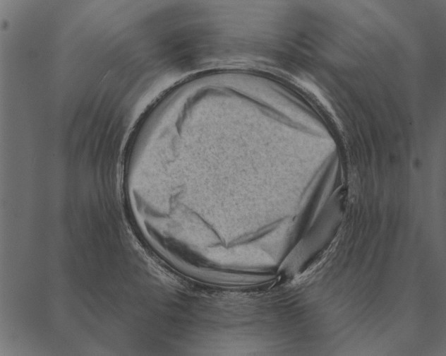 X0000087311424200705180934