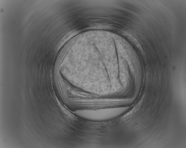 X0000087311425200705180934