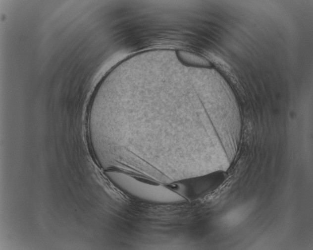 X0000087311427200705180935