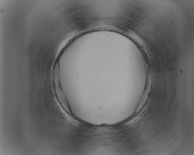 X0000087311430200705180935