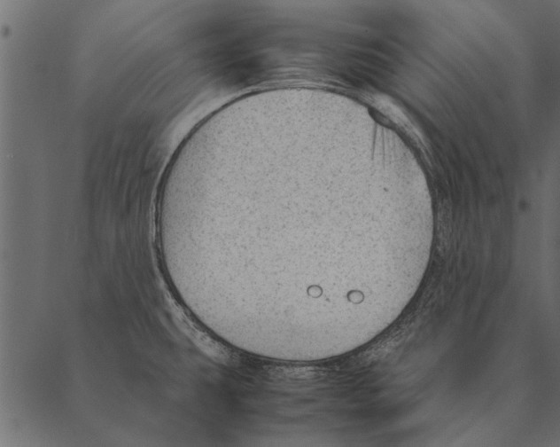 X0000087311431200705180935