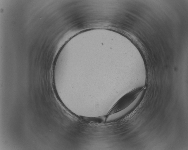 X0000087311432200705180935