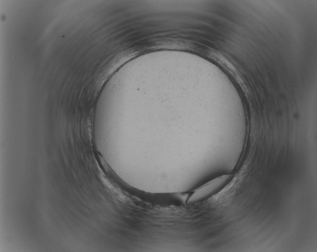 X0000087311433200705180935