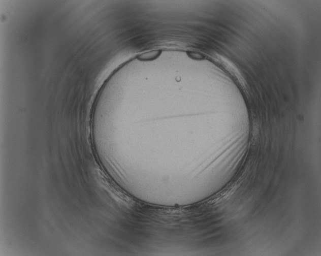 X0000087311435200705180935