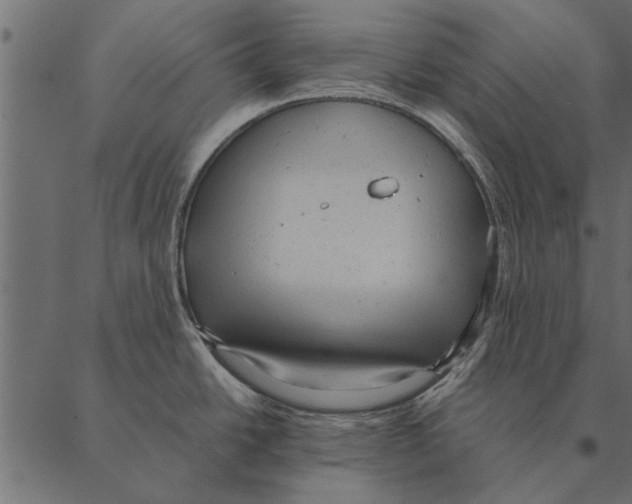 X0000087311438200705180935