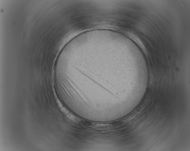 X0000087311439200705180935