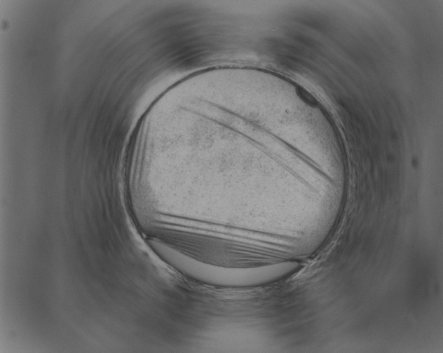 X0000087311440200705180935