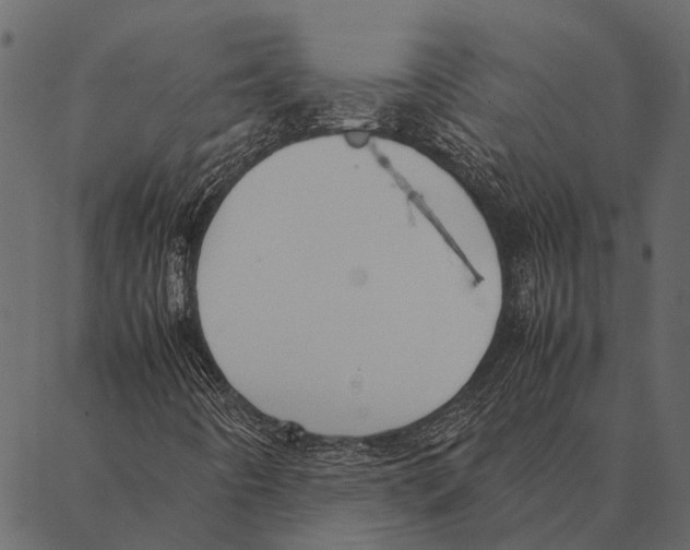 X0000087311442200705180934