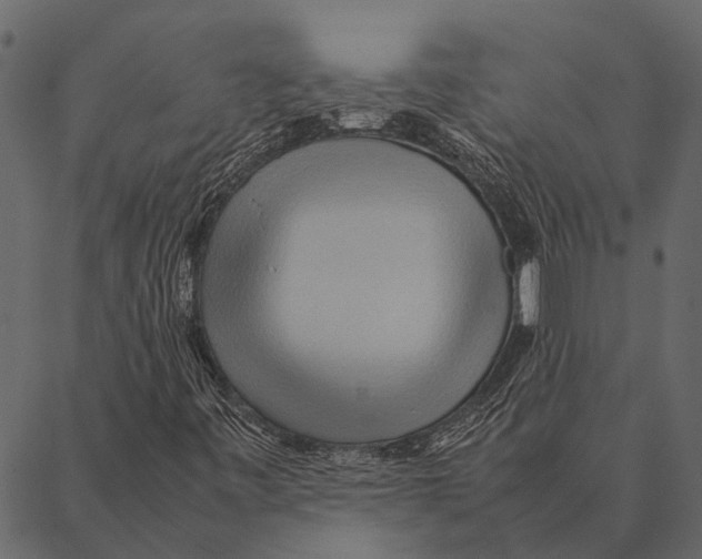 X0000087311443200705180934