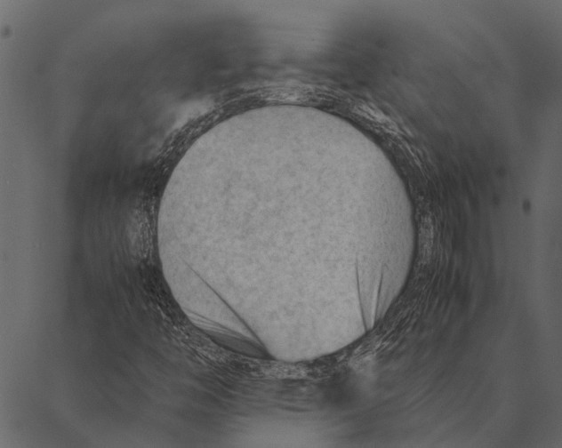 X0000087311446200705180934