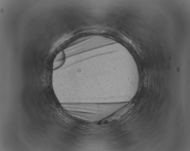 X0000087311448200705180934