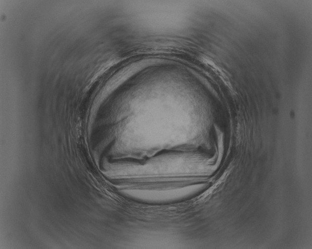 X0000087311449200705180934