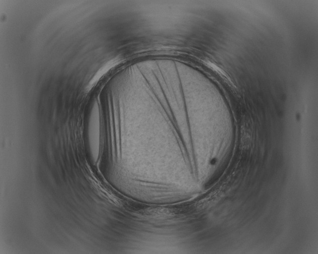 X0000087311450200705180934