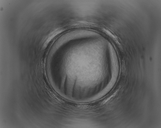 X0000087311453200705180934