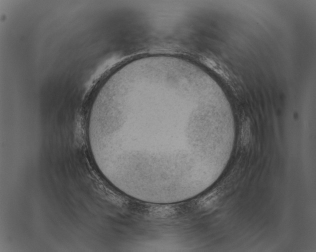 X0000087311454200705180934