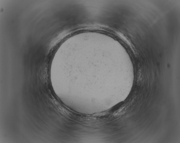 X0000087311456200705180934