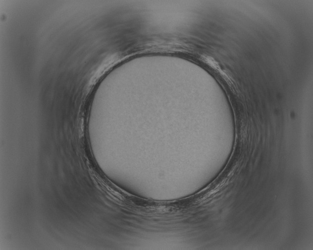 X0000087311459200705180934