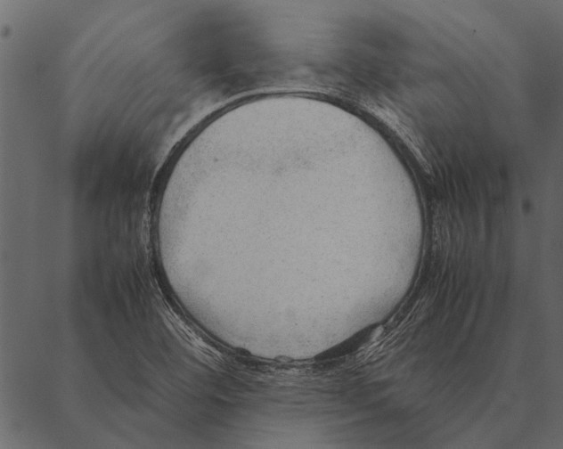 X0000087311460200705180934