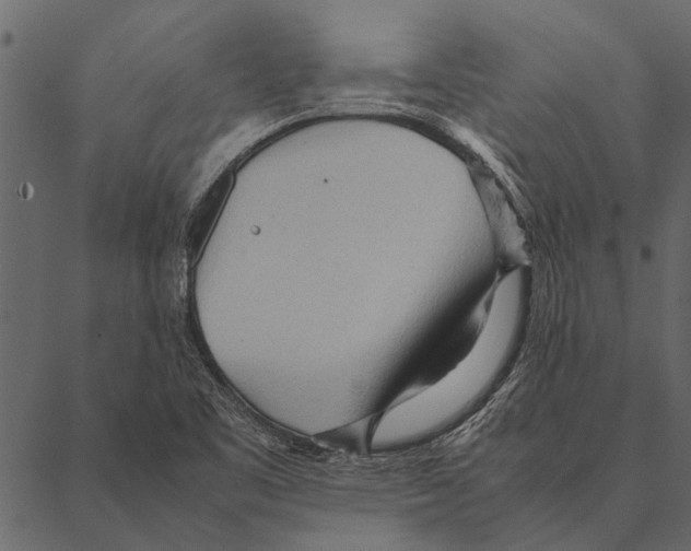 X0000087311461200705180934