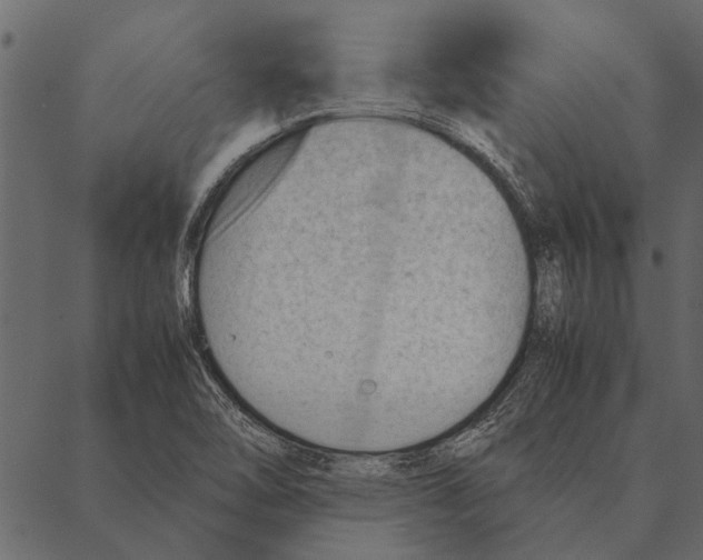 X0000087311462200705180934