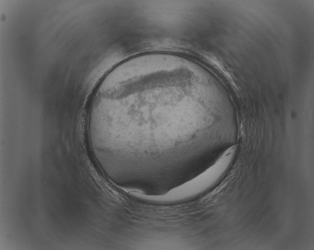 X0000087311463200705180934