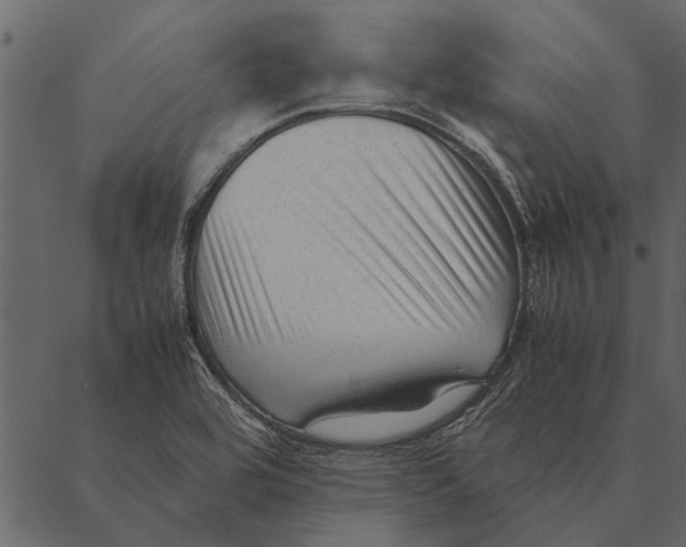 X0000087311464200705180934