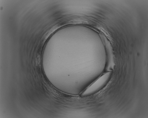 X0000087311465200705180934