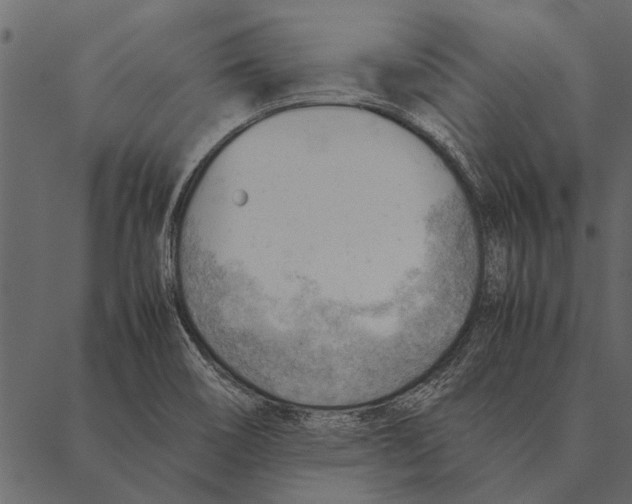 X0000087311466200705180934