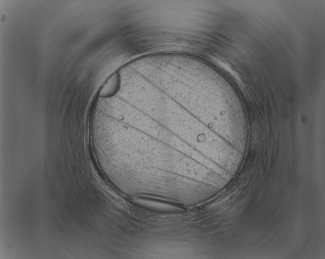 X0000087311467200705180934