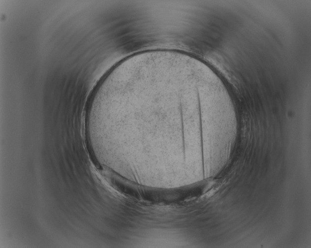 X0000087311468200705180934