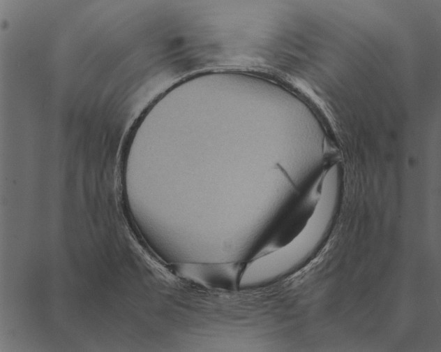 X0000087311469200705180933