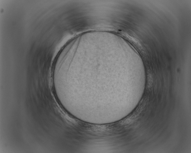 X0000087311470200705180933