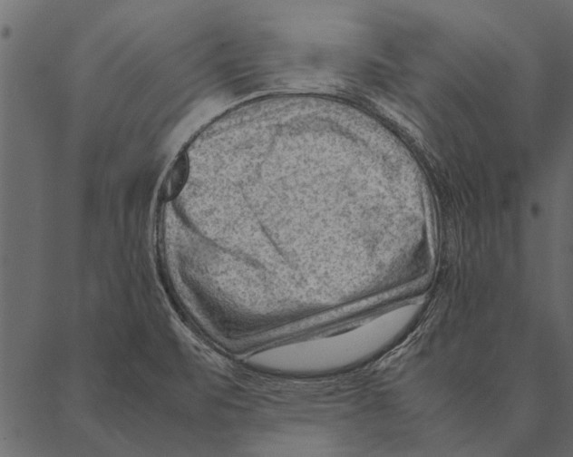 X0000087311471200705180933