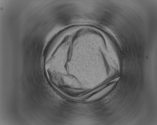 X0000087311472200705180933