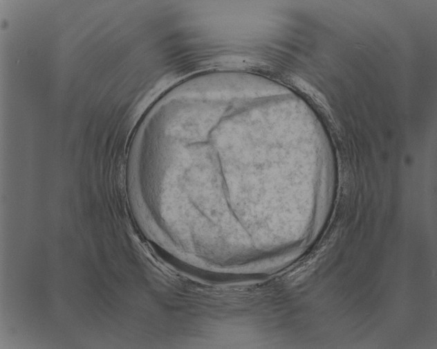 X0000087311473200705180933