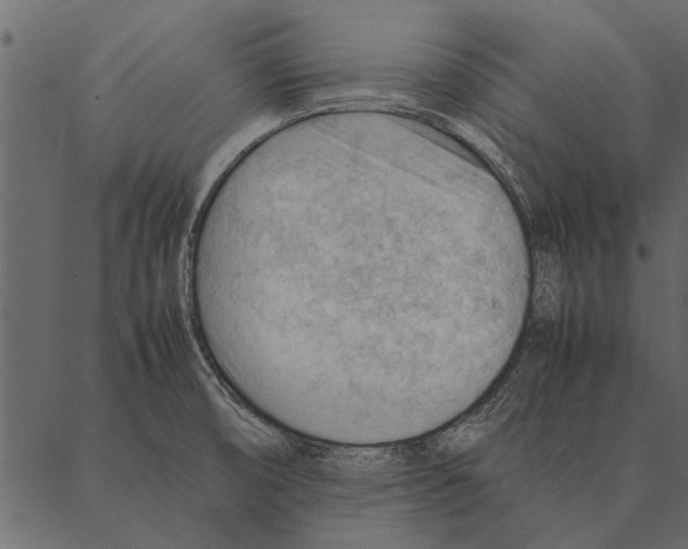 X0000087311474200705180933