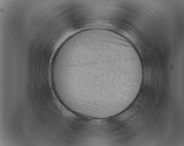 X0000087311478200705180933