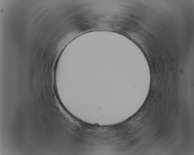 X0000087311479200705180933