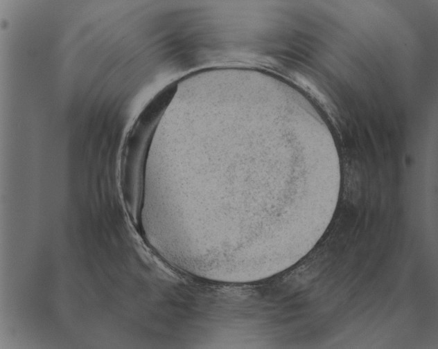 X0000087311480200705180933