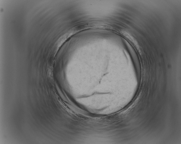 X0000087311481200705180933